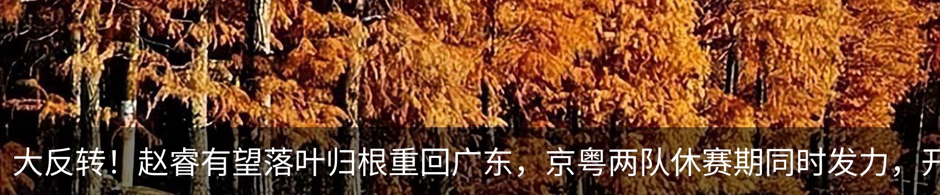 资讯中心