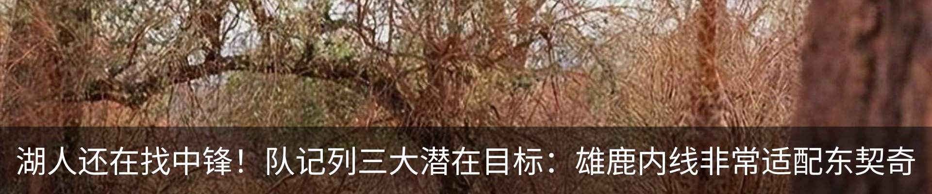 资讯中心