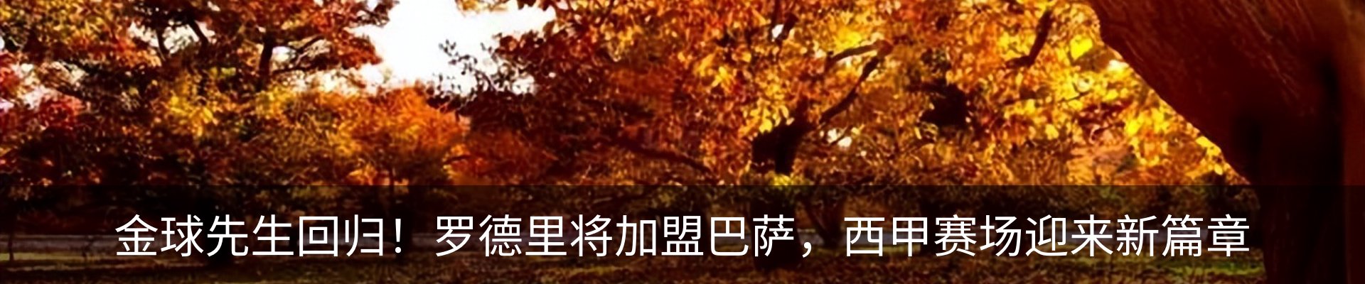 资讯中心